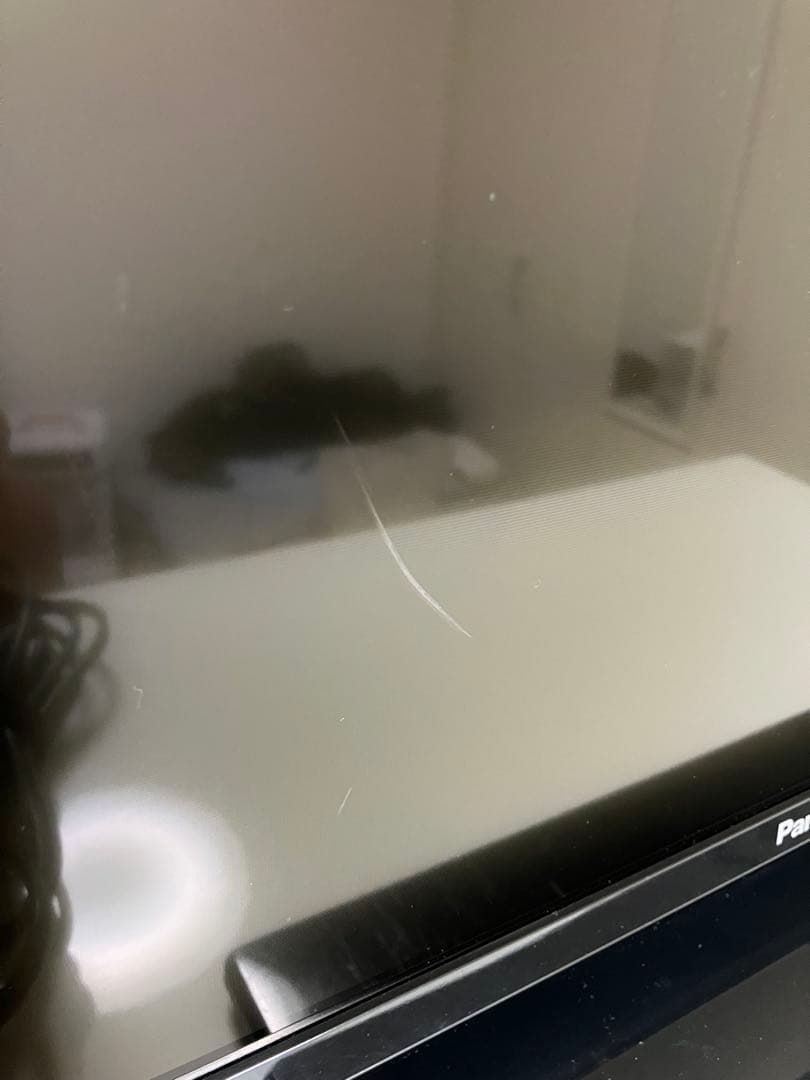 Panasonic TH-32F300 32インチテレビ 2018年