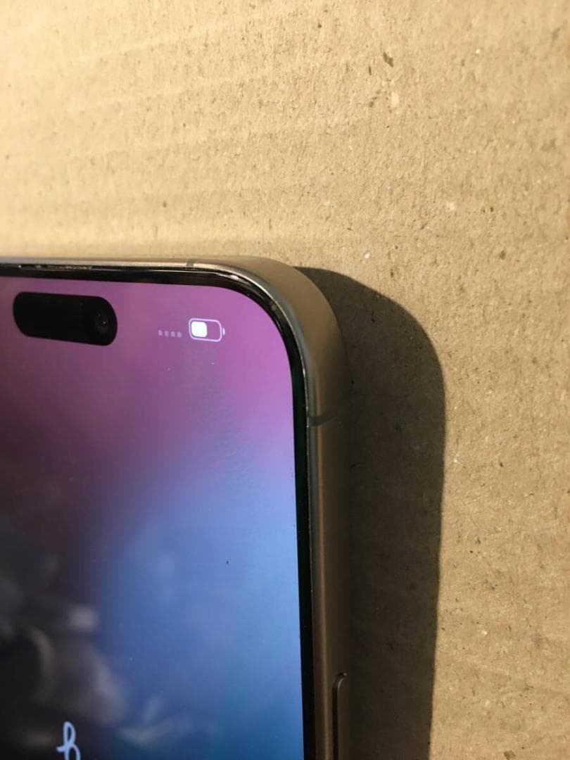 Apple Store 日本版 iPhone 15 Pro Max 1TB