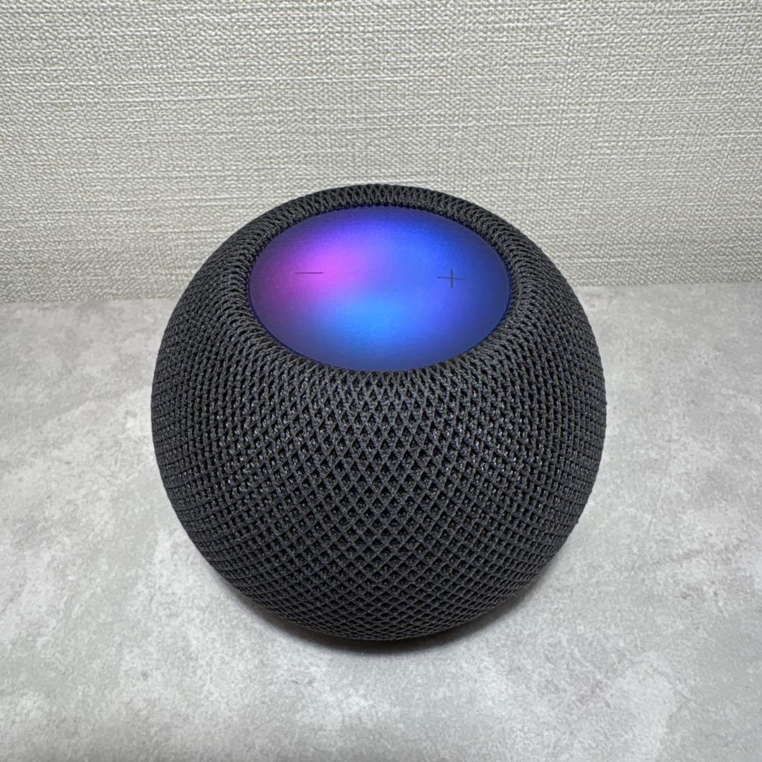 【美品】Apple Pod mini 動作品 A2374 スペースグレー