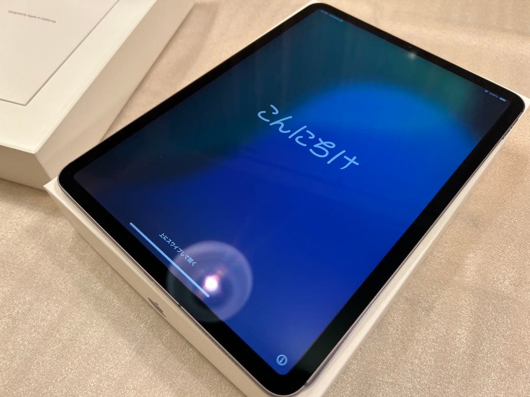 【美品】iPad Pro 11インチ（第2世代）256GB Cellular