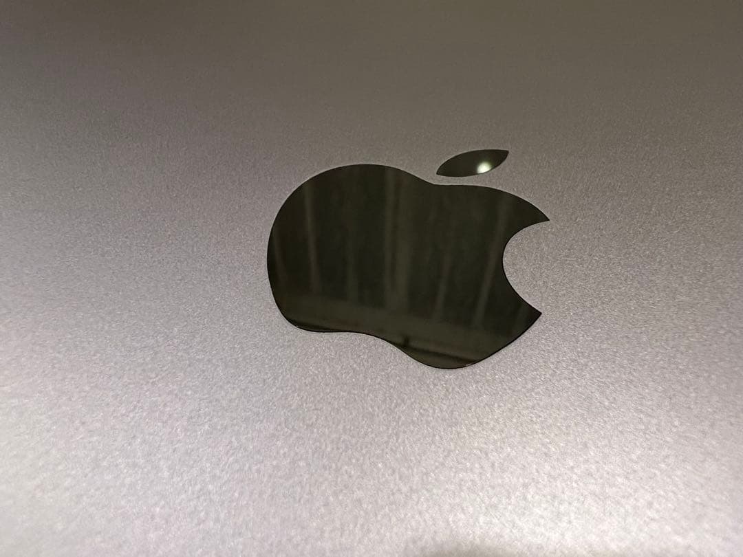 【美品】iPad Pro 11インチ（第2世代）256GB Cellular