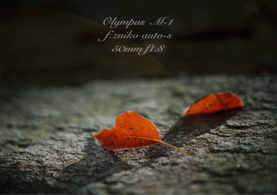 超希少！完動・美品★オリンパスm-1（om-1） &Mシス f1.8★作例多数