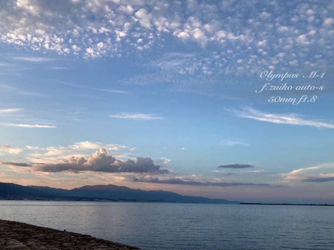 超希少！完動・美品★オリンパスm-1（om-1） &Mシス f1.8★作例多数
