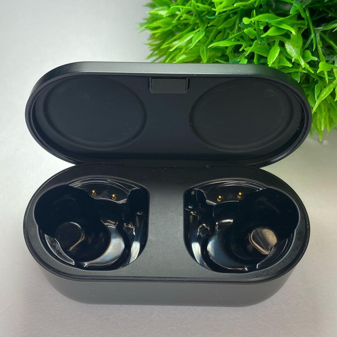 超美しいデノン Denon PerL Pro AH-C15PL ケースのみ