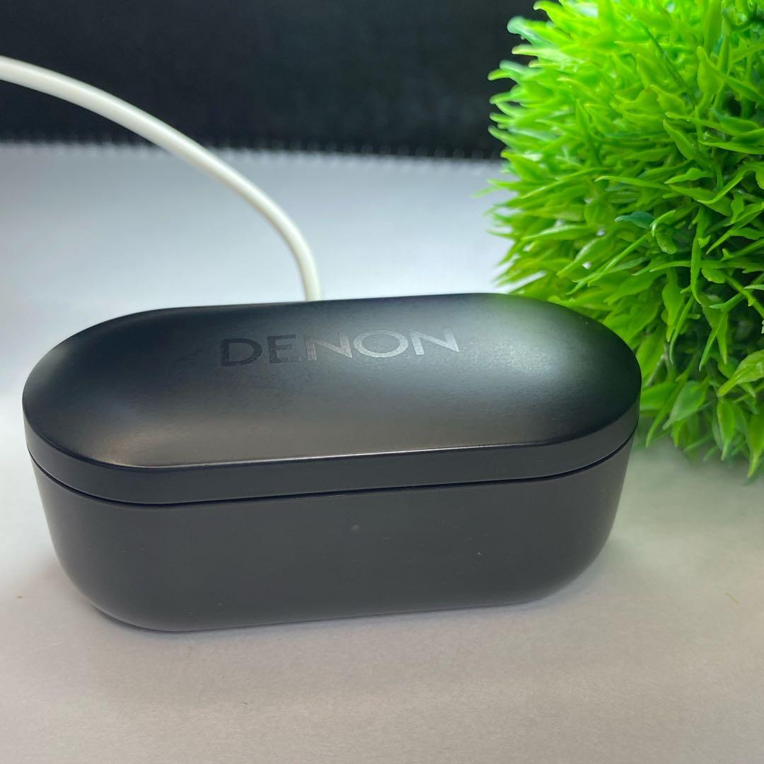 超美しいデノン Denon PerL Pro AH-C15PL ケースのみ