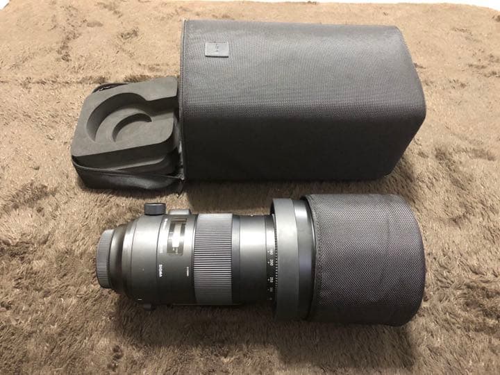 その他 SIGMA 150-600F5-6.3DG