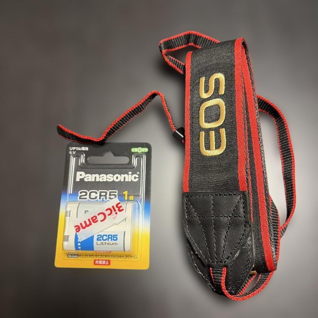 【超美品】Canon EOS-1V HS フィルムカメラ （動作確認済み）