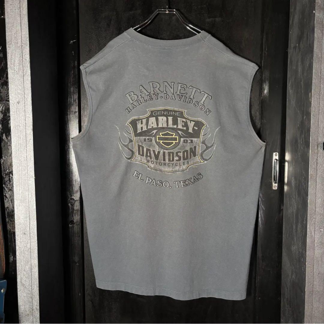USA製　HARLEY-DAVIDSON ハーレーノースリーブ　アメリカ製