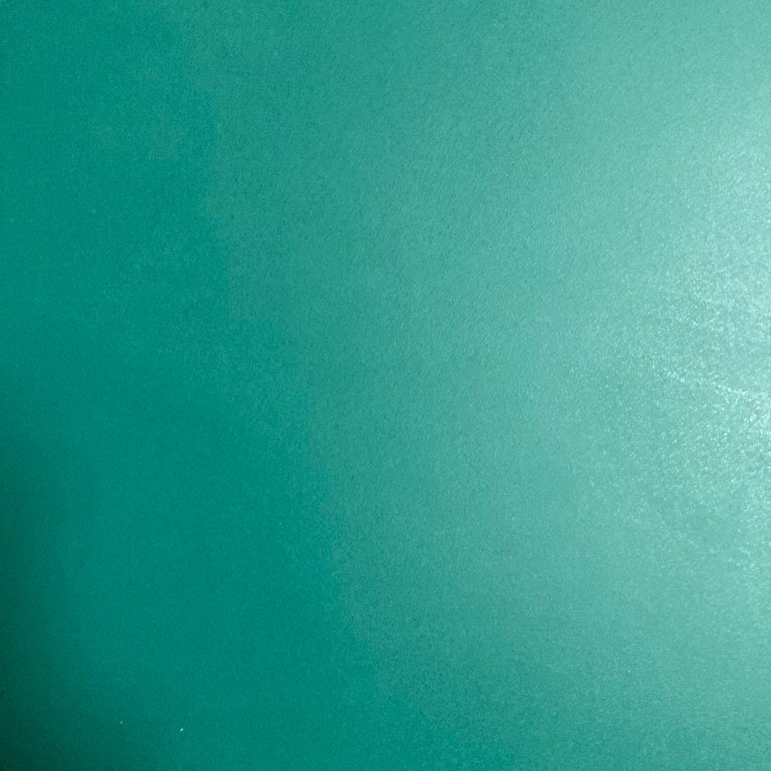 ナチュラルチイズ様取り置き　ドギラゴン王道シク1枚