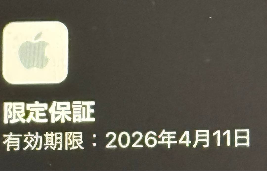 ipad第10世代 256gb ブルー
