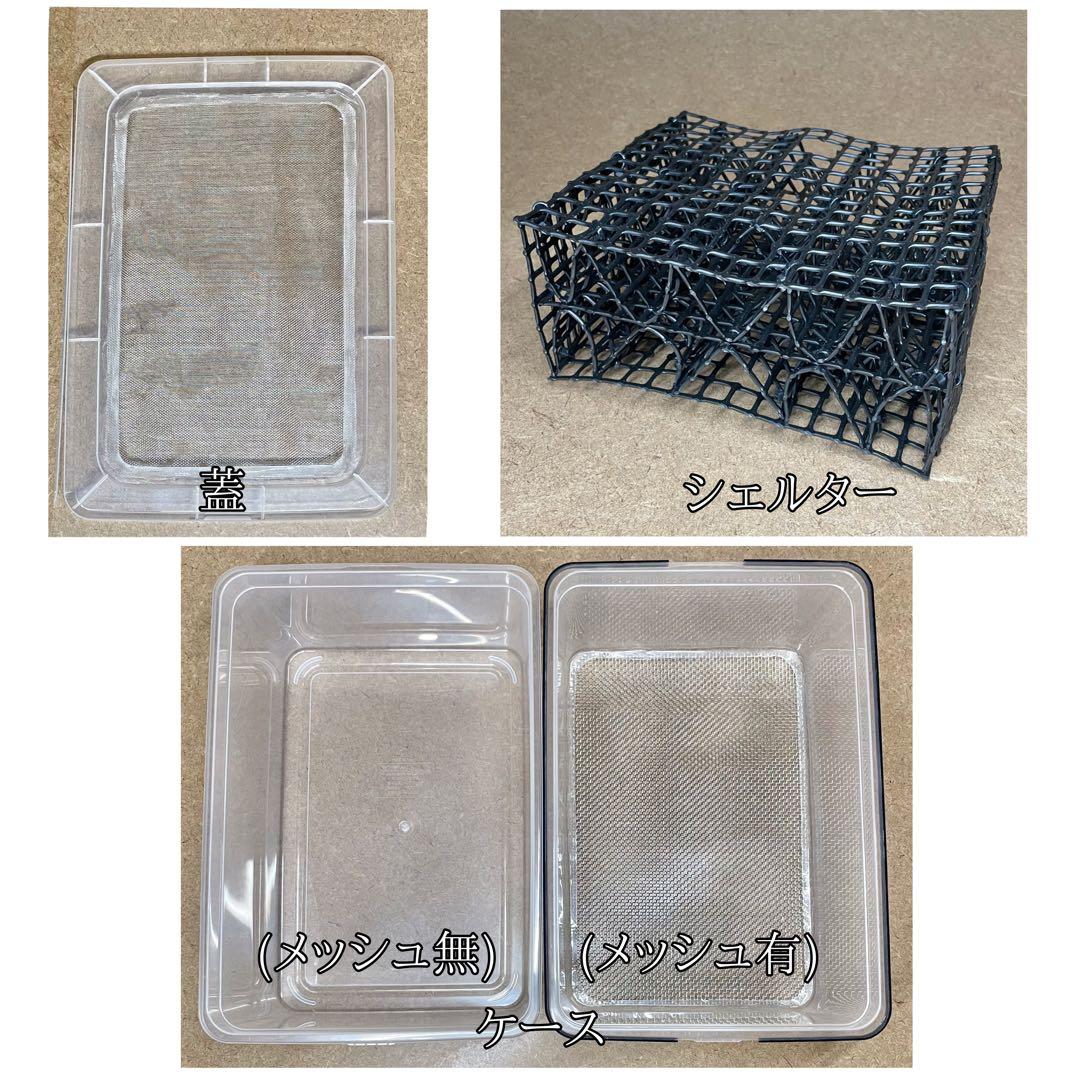 ミッキー1960様　S(フル)