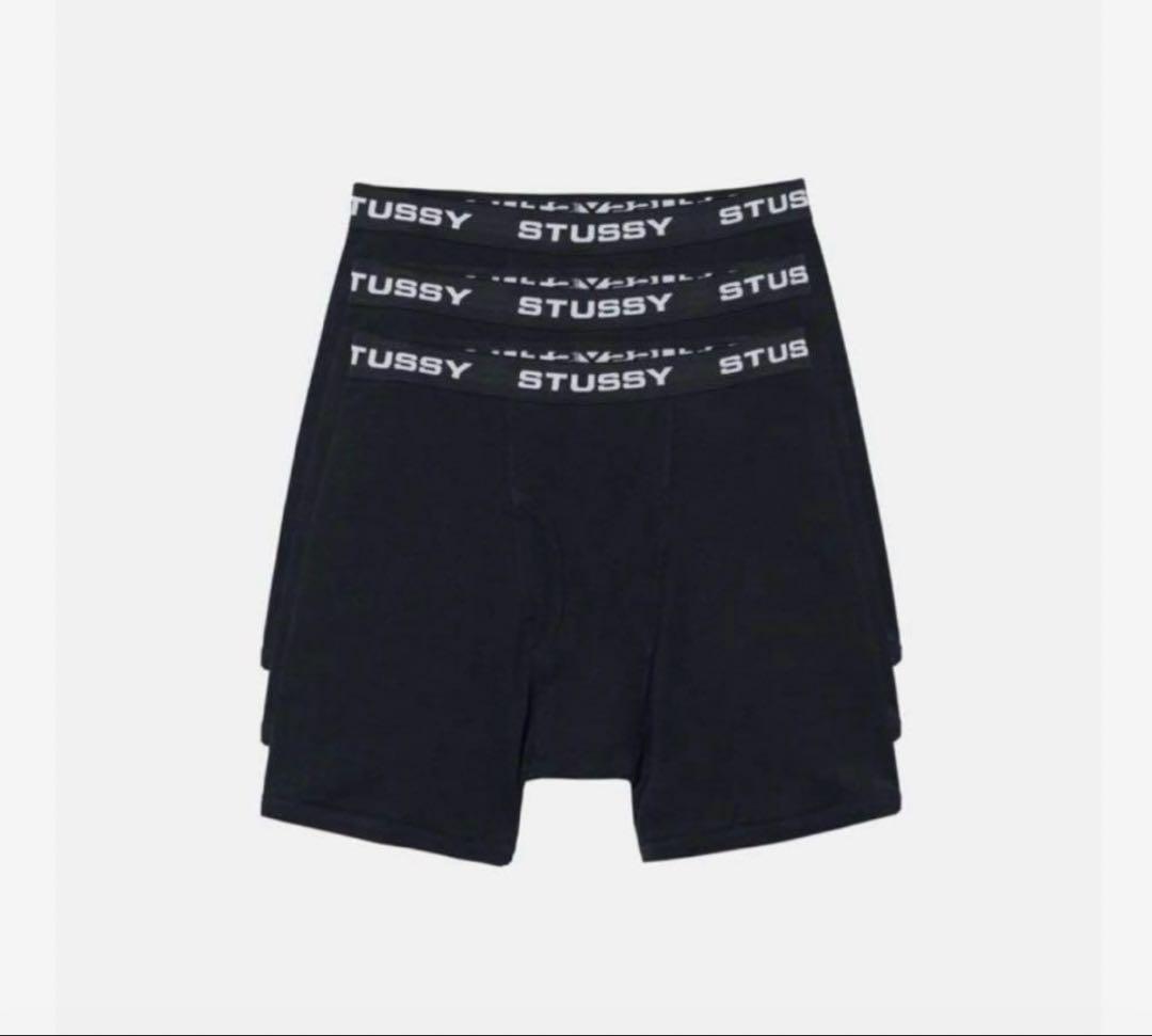 STUSSY LOGO BOXER BRIEFS ブリーフパンツ　S 2枚