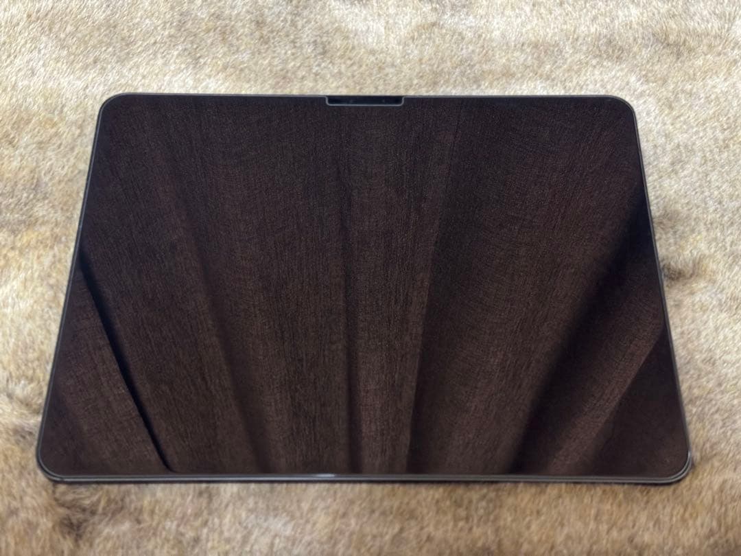 極美品　Apple iPad pro 13インチ512gb pencil pro