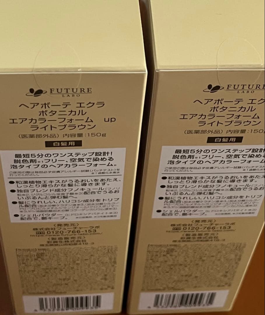 ヘアボーテ エクラ ボタニカル エアカラーフォーム up ライトブラウン 2本