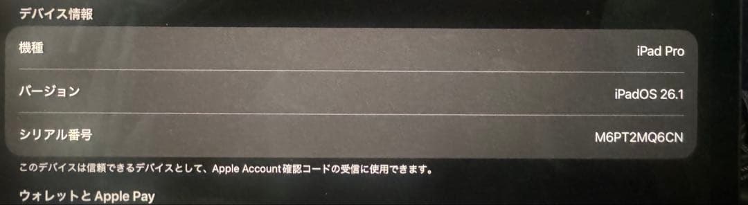 iPad Pro (M4) 13インチ 256GB + Apple Pencil