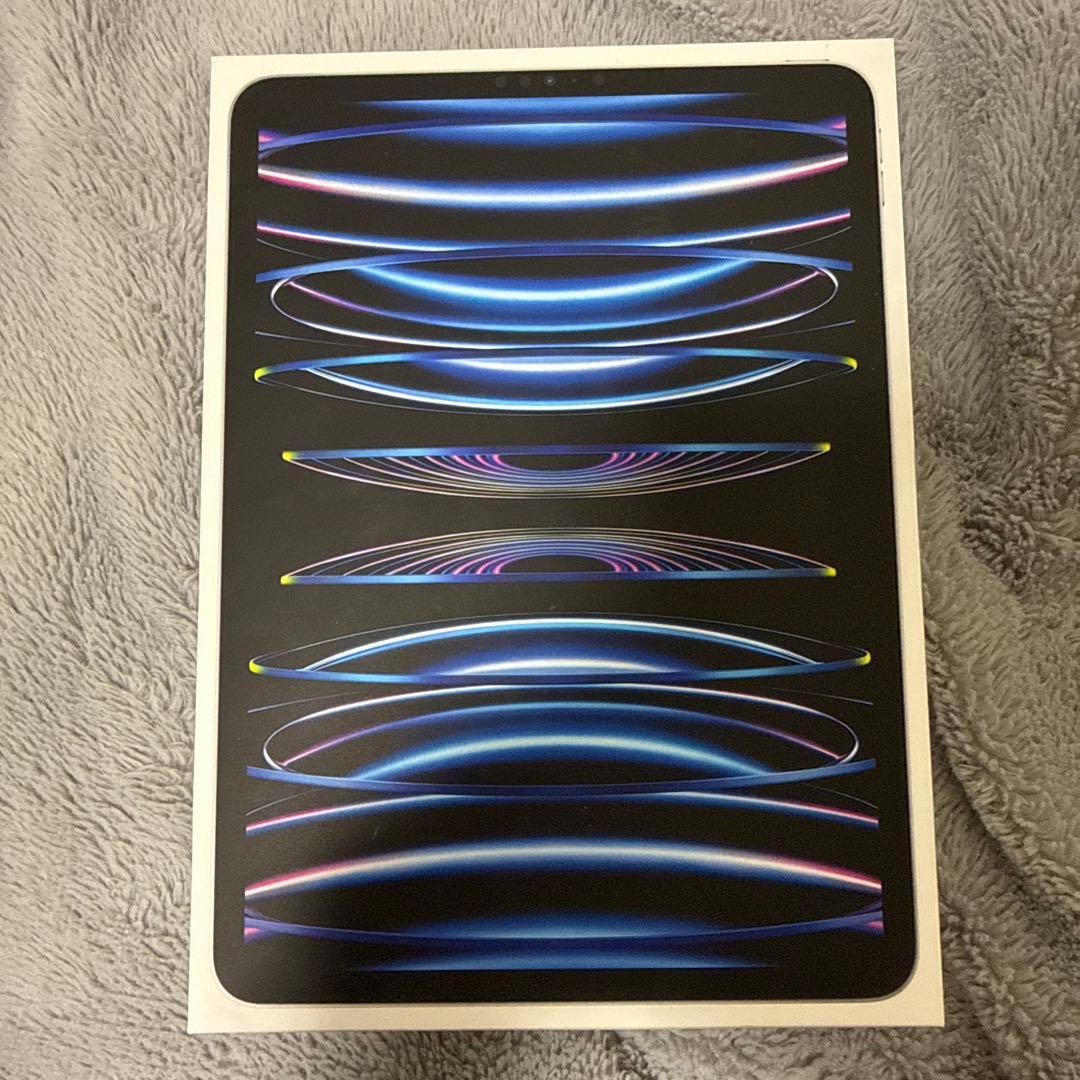 Apple iPad Pro シルバー 第4世代　本体