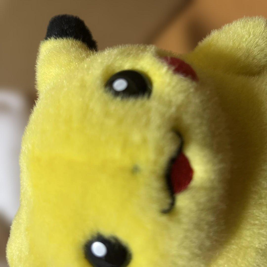 専用 ピカチュウのみ ぬいぐるみ