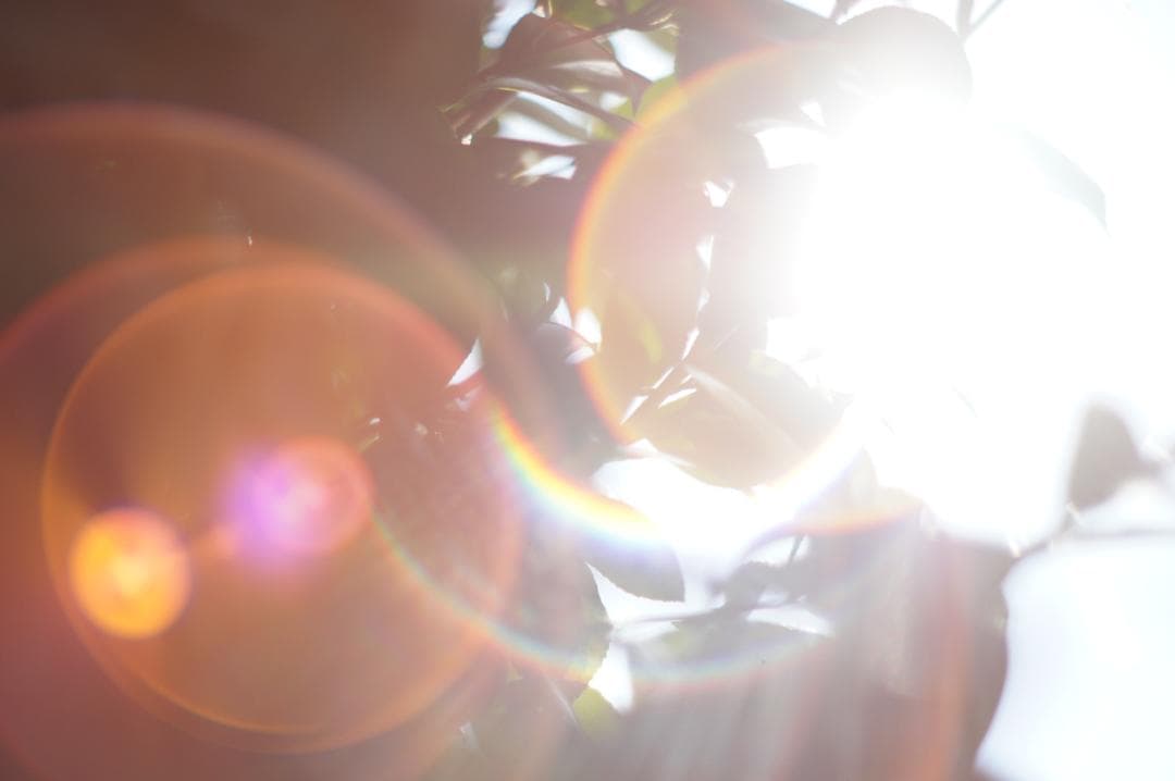 作例有・光学美品✨ PENTAX スーパータクマー 55mm f1.8 後期