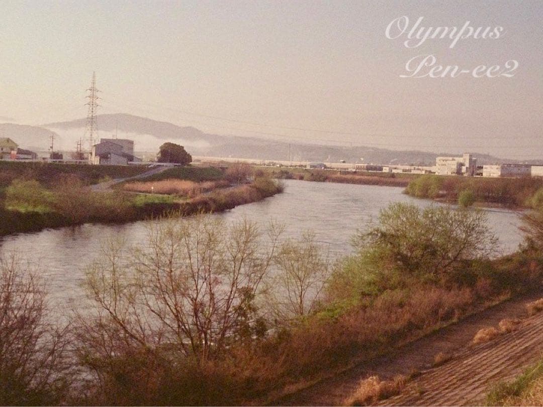 ★完動品＊美品★olympus pen ee2★フィルムカメラ入門に！★本革外装