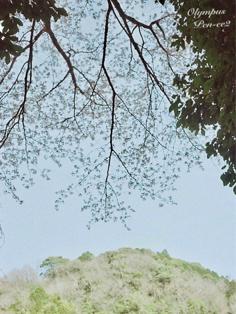 ★完動品＊美品★olympus pen ee2★フィルムカメラ入門に！★本革外装