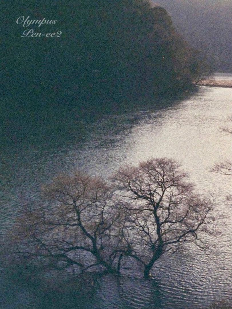 ★完動品＊美品★olympus pen ee2★フィルムカメラ入門に！★本革外装