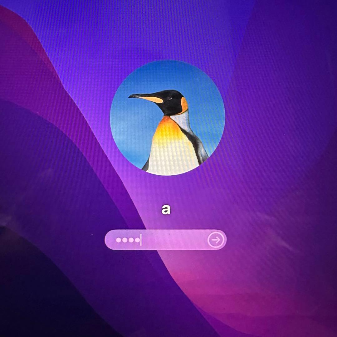 Apple MacBook 12インチ 256GB 2016 ゴールド