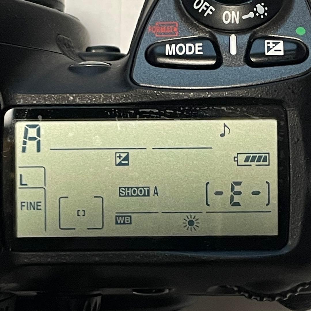 Nikon D200 ｜ショット数7,954枚｜動作確認済｜充電器・バッテリー付