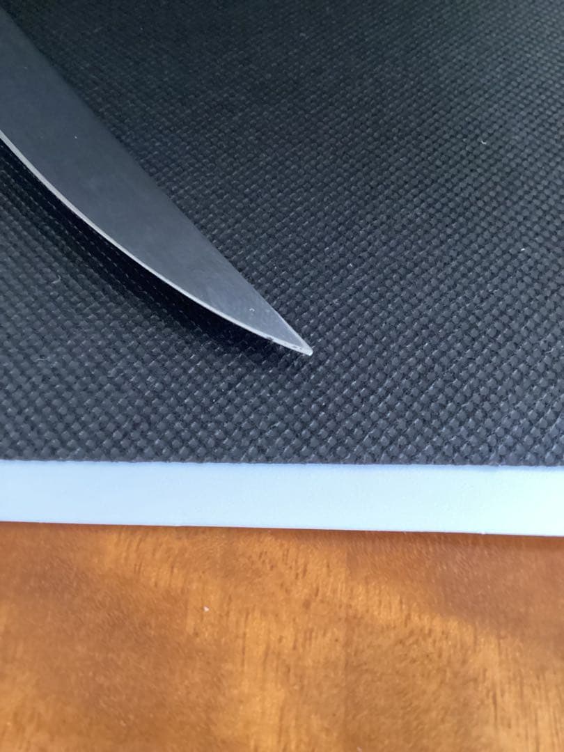 ジャン・ネロン ティエール ステーキナイフ10本セット