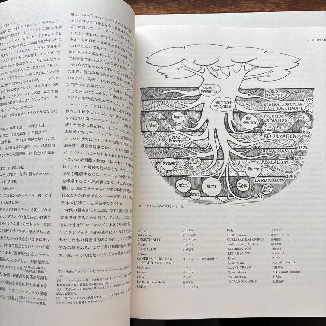 図説　歴史の研究　全3巻　アーノルド・トインビー 函入　桑原武夫　多田道太郎