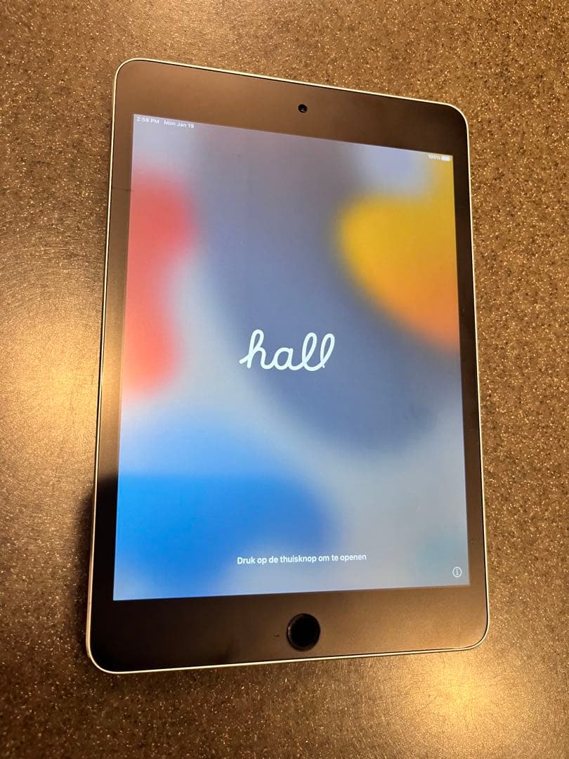 iPad mini 4 Wi-Fiモデル 128GB MK9N2J/A