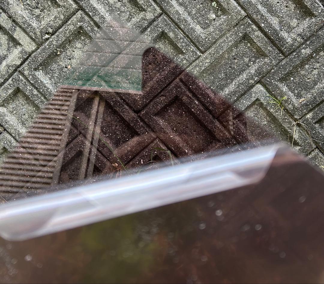 けんと様ブラウン40ストレート‪07スーパーグレートフロントスクリーン♪