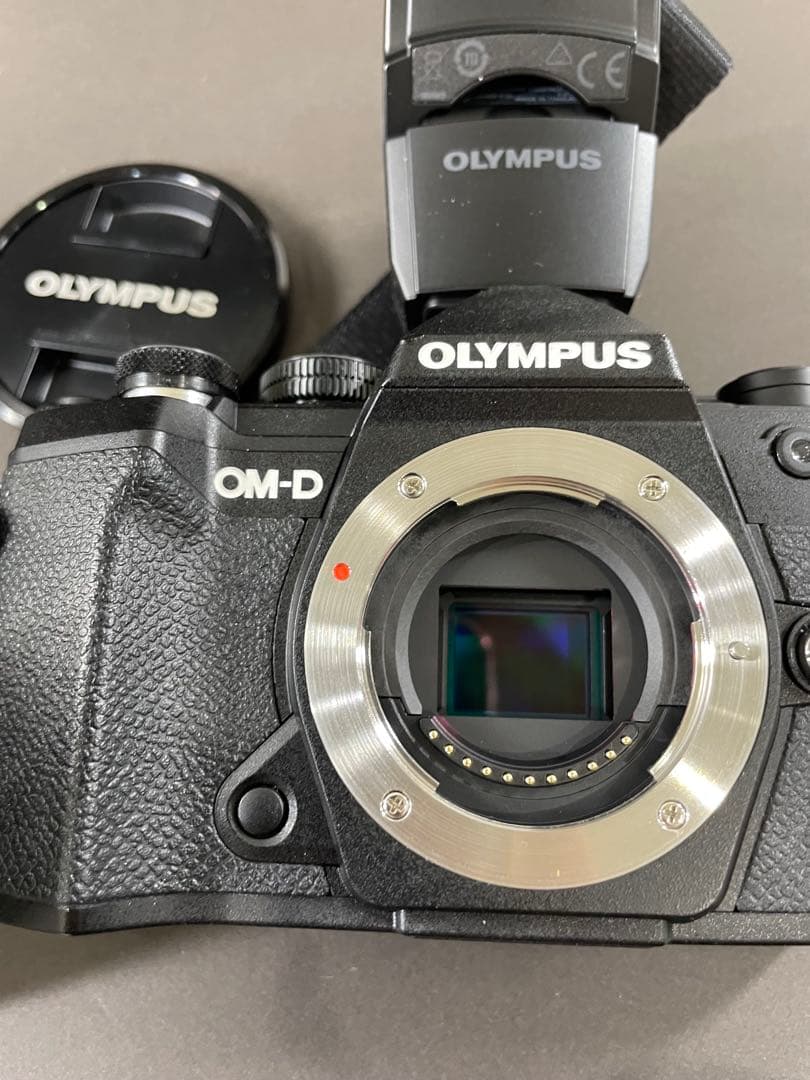 Olympus OM-D ミラーレスカメラセットレンズ2本