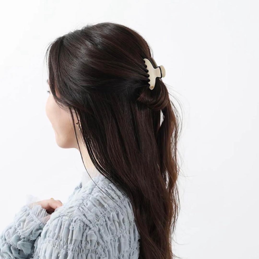 ALEXANDRE DE PARIS アレクサンドルドゥパリ クリップ リズレ