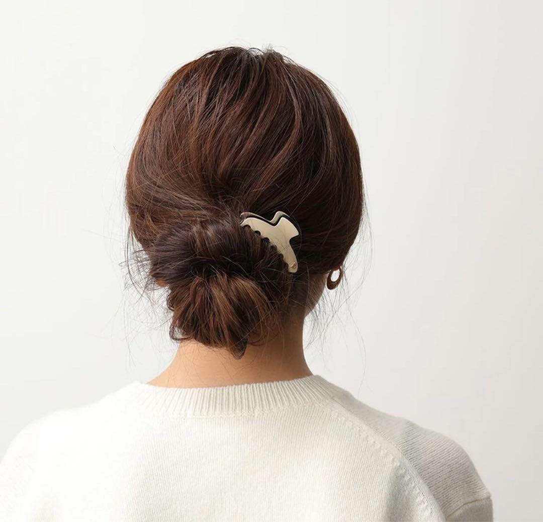 ALEXANDRE DE PARIS アレクサンドルドゥパリ クリップ リズレ