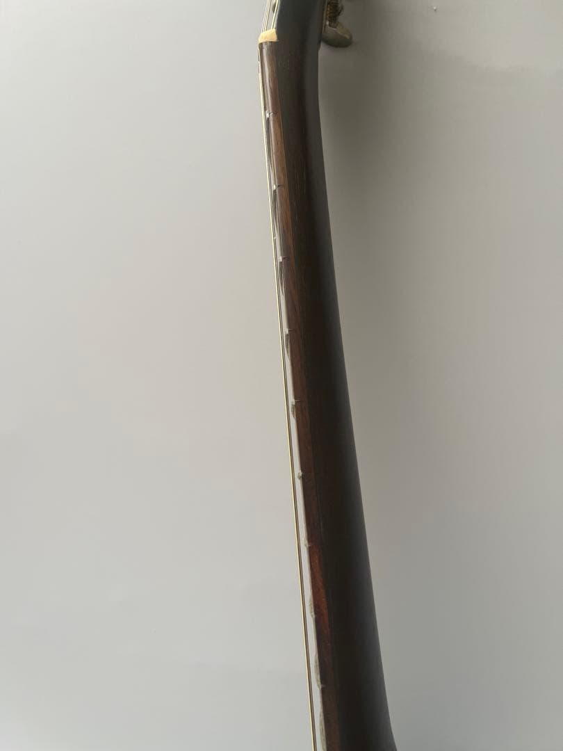 S.Yairi ミニアコースティックギター YM-02