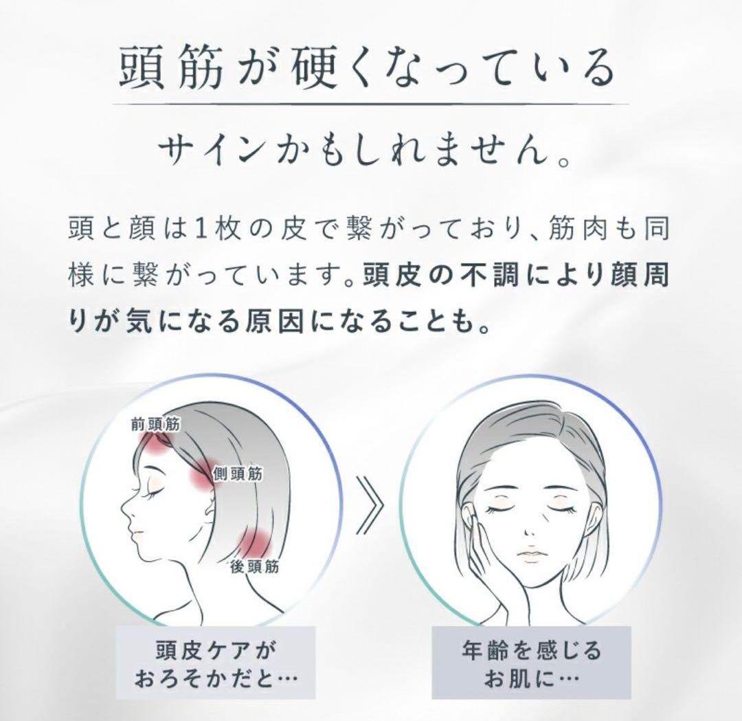 【新品未開封】NIPLUX EMS 美顔器　リフトアップ　電気ブラシ