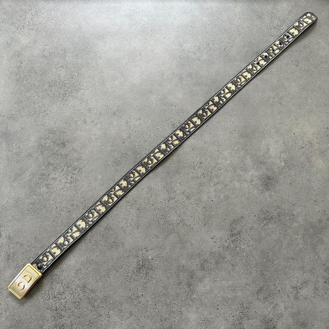 小物 Dior CD Logo Trotter Pattern Belt y2k