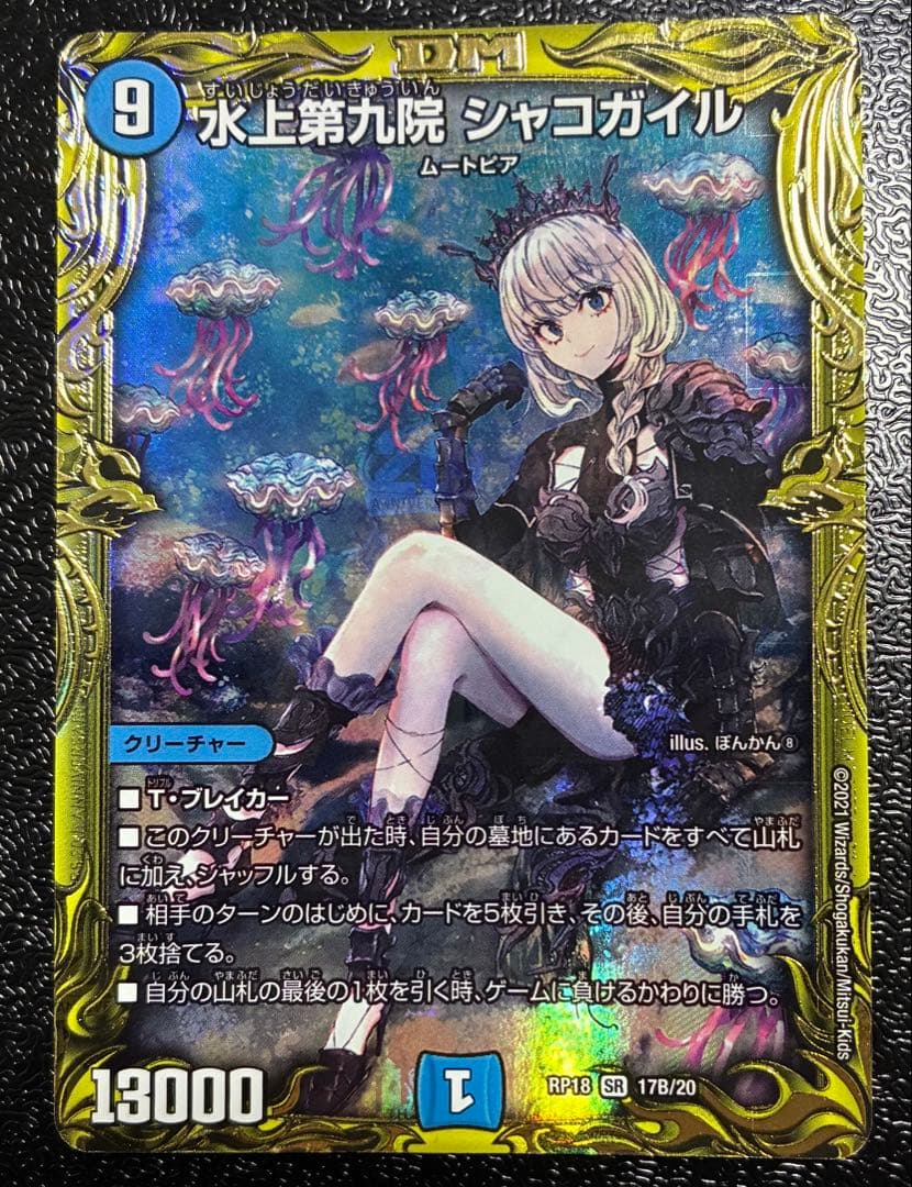 シャコガイル B