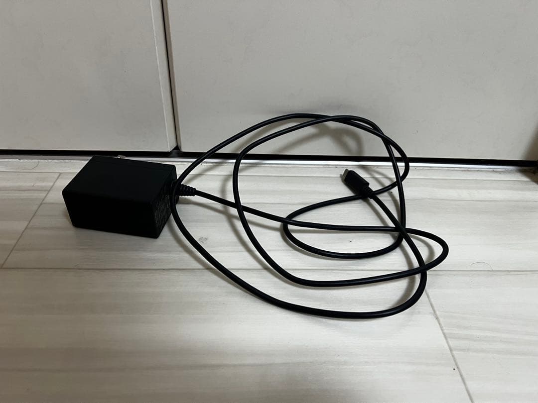 Nintendo Switch（通常使用は可、ケース付）