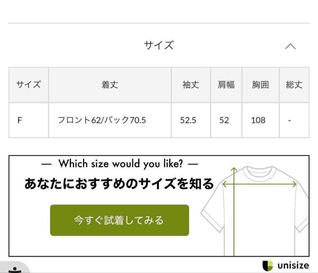 ガリャルダガランテ　1,7万円　バックスリットブラウスT ホワイト　白