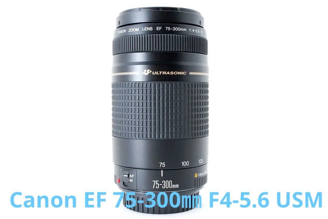 望遠レンズ☆Canon EF 75-300㎜ F4-5.6 USM