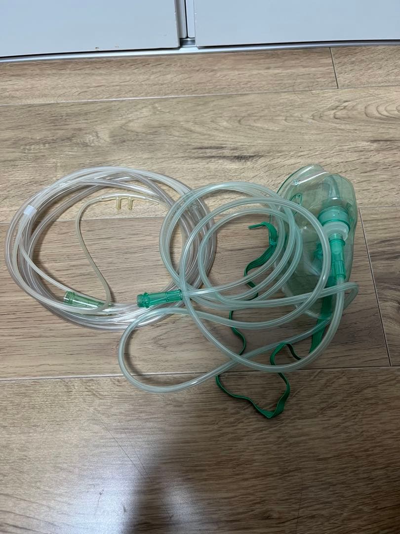 H2 REBORN 水素生成器 ミントグリーン　156