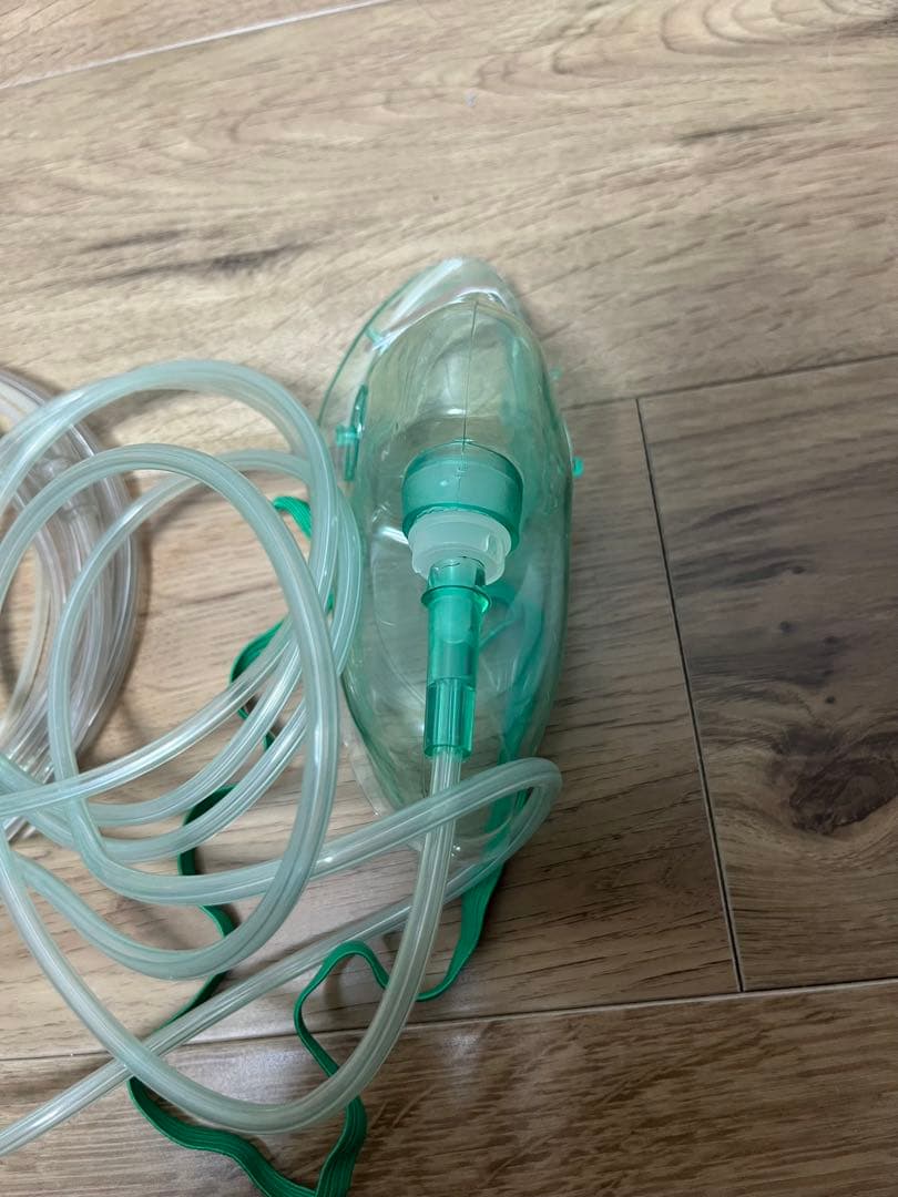 H2 REBORN 水素生成器 ミントグリーン　156