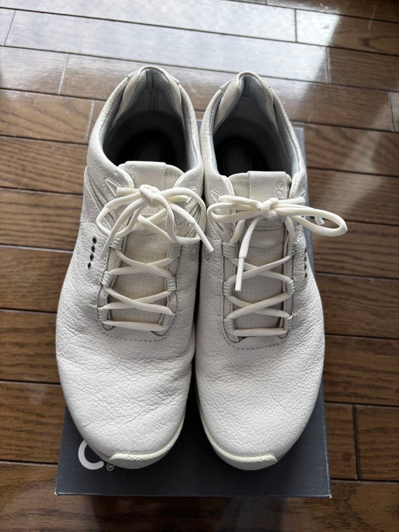 ECCO GORE-TEX ゴルフシューズ 39