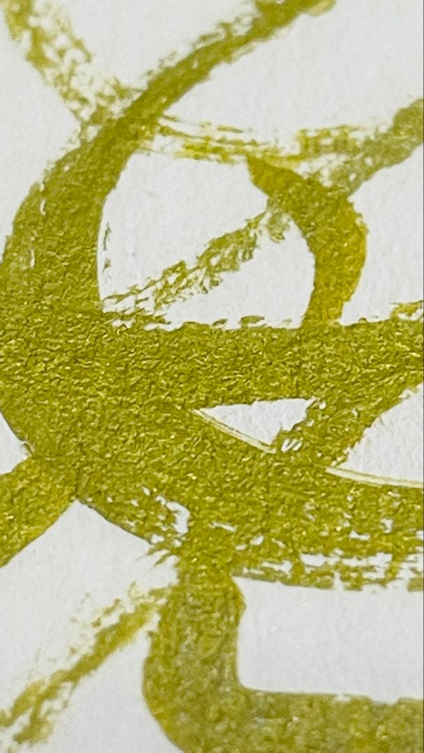 皇入魂 蛇龍 神護符 携帯用 御神水付き✨