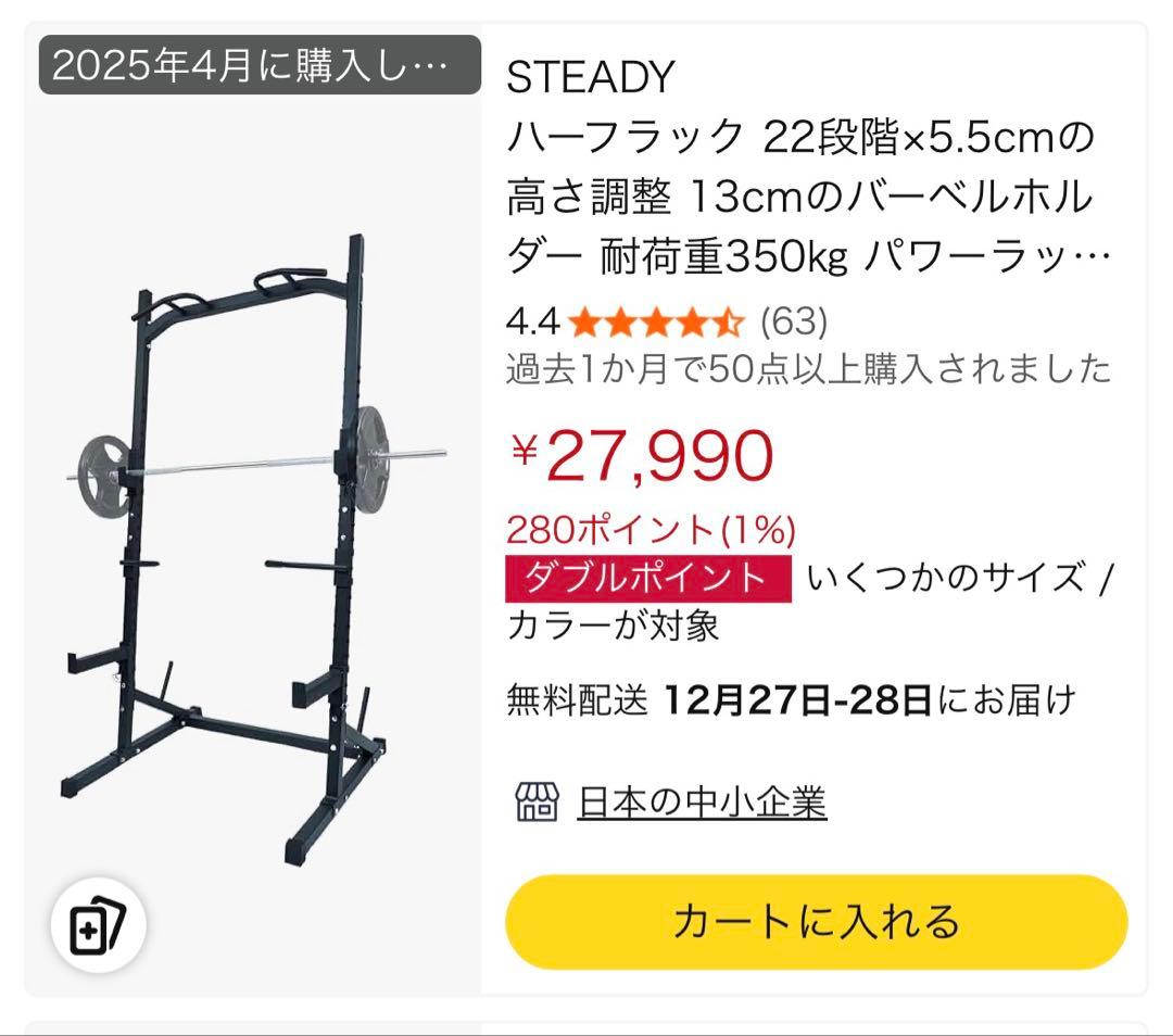 STEADY ハーフラック　懸垂、ディップス、サポート付