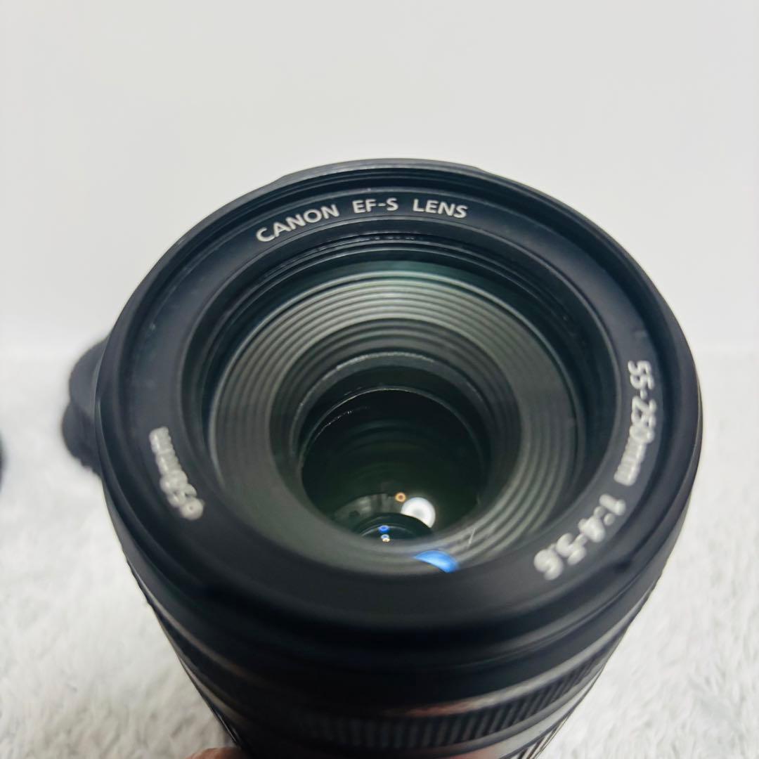 Canon EF-S 55-250mm IS STM 望遠レンズ