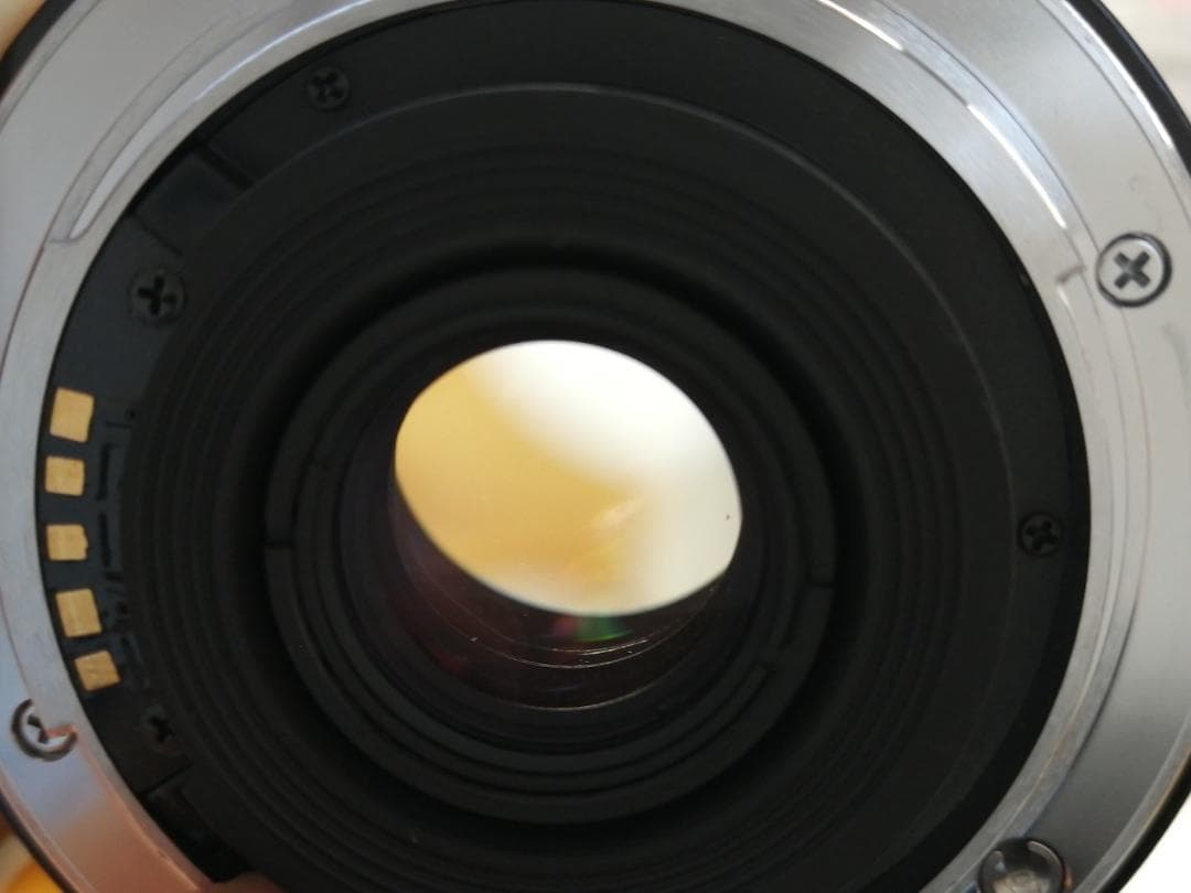 レンズ(単焦点) Minolta AF 24mm F/2.8 #7073