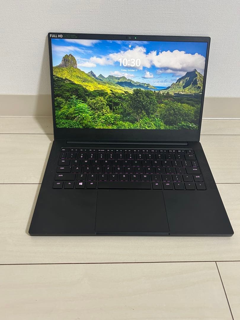 ※Sさん専用※Razer レイザー Blade Stealth 13 2019