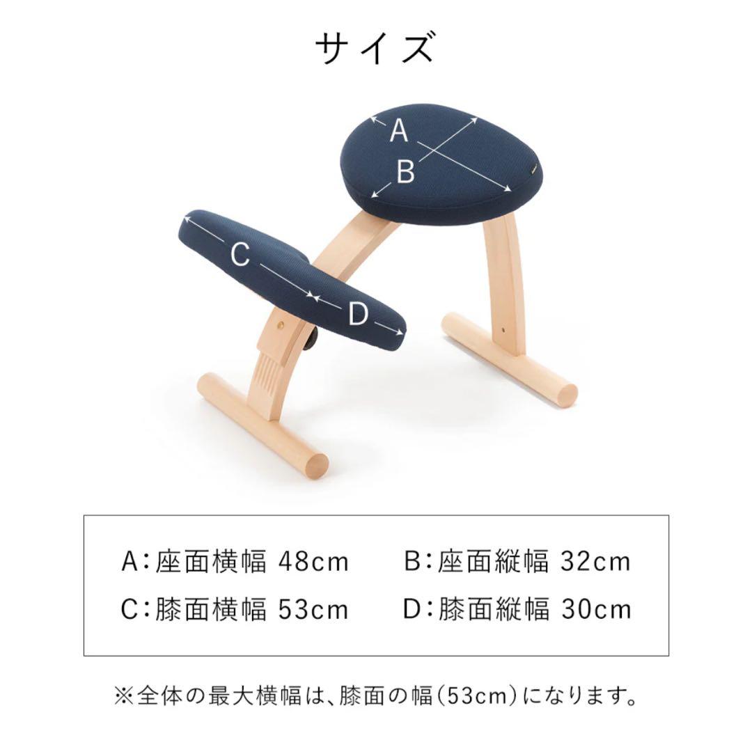 【美品】 バランスラボ バランスイージー ベージュ　現行品　通常フレーム